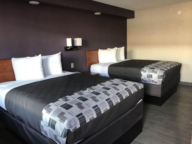 كينغزفيل Executive Inn المظهر الخارجي الصورة